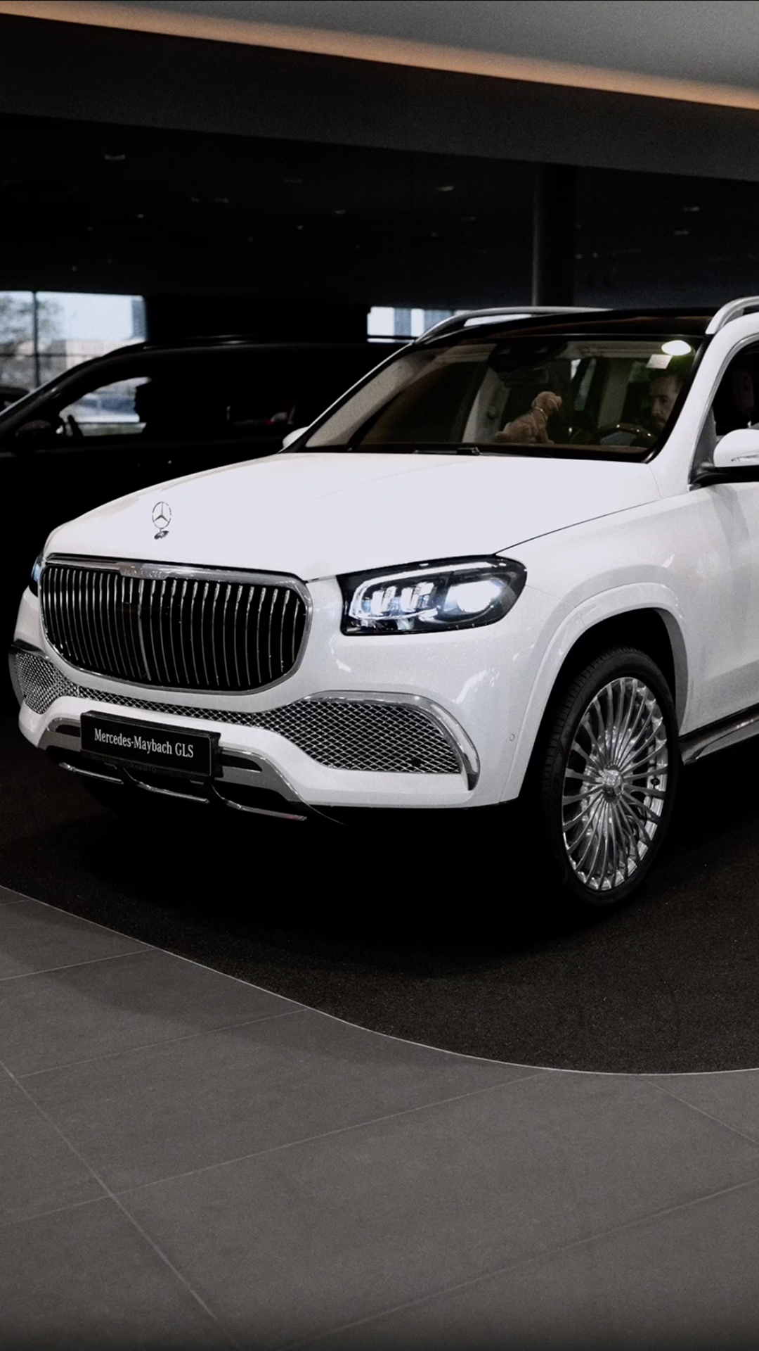 mb_gls_v_2