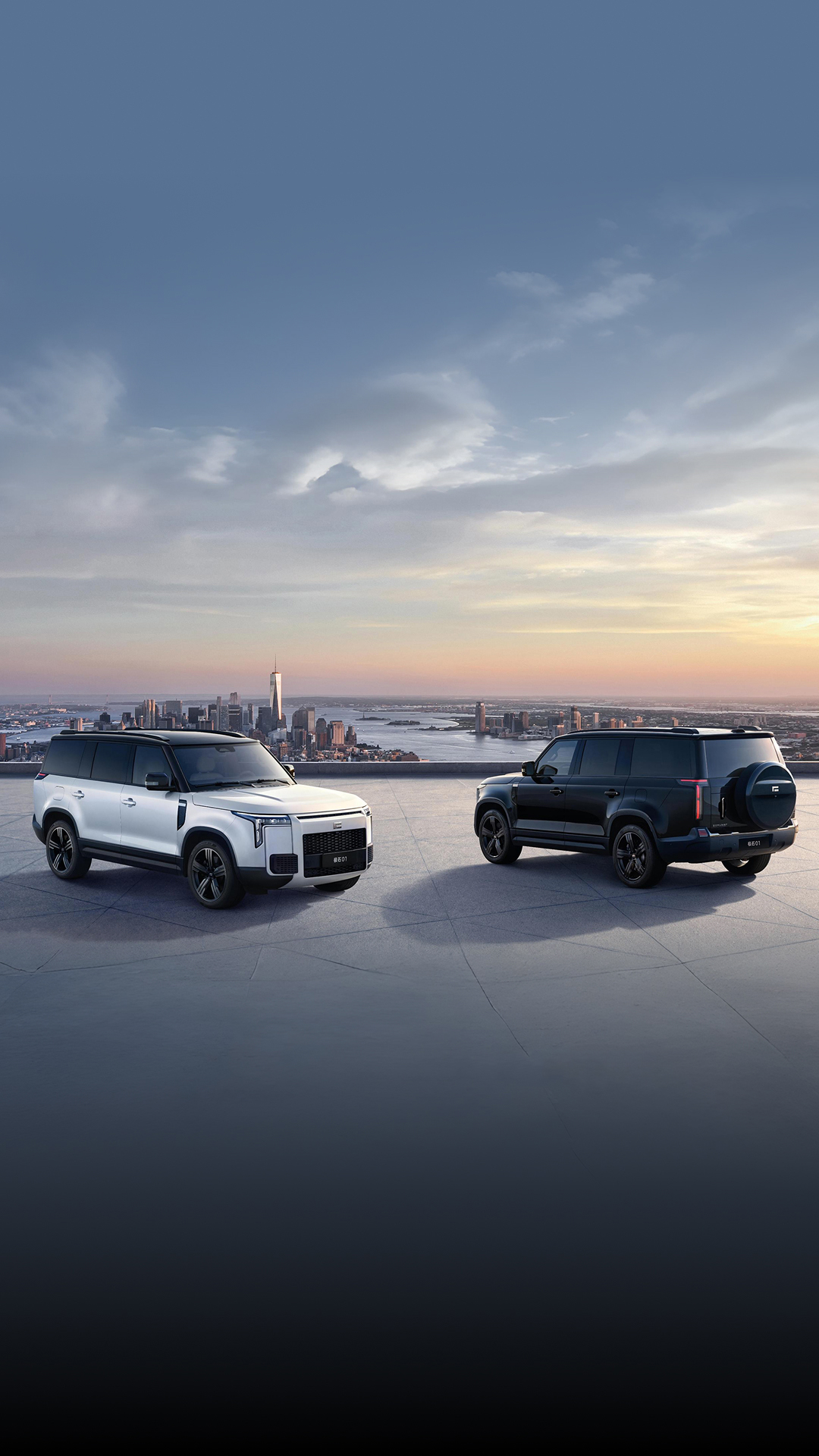 Панавто - официальный дилер ROX! 