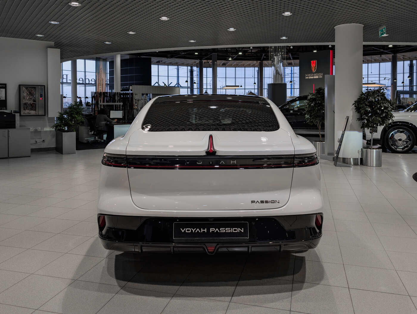 Voyah Passion EVR (I)