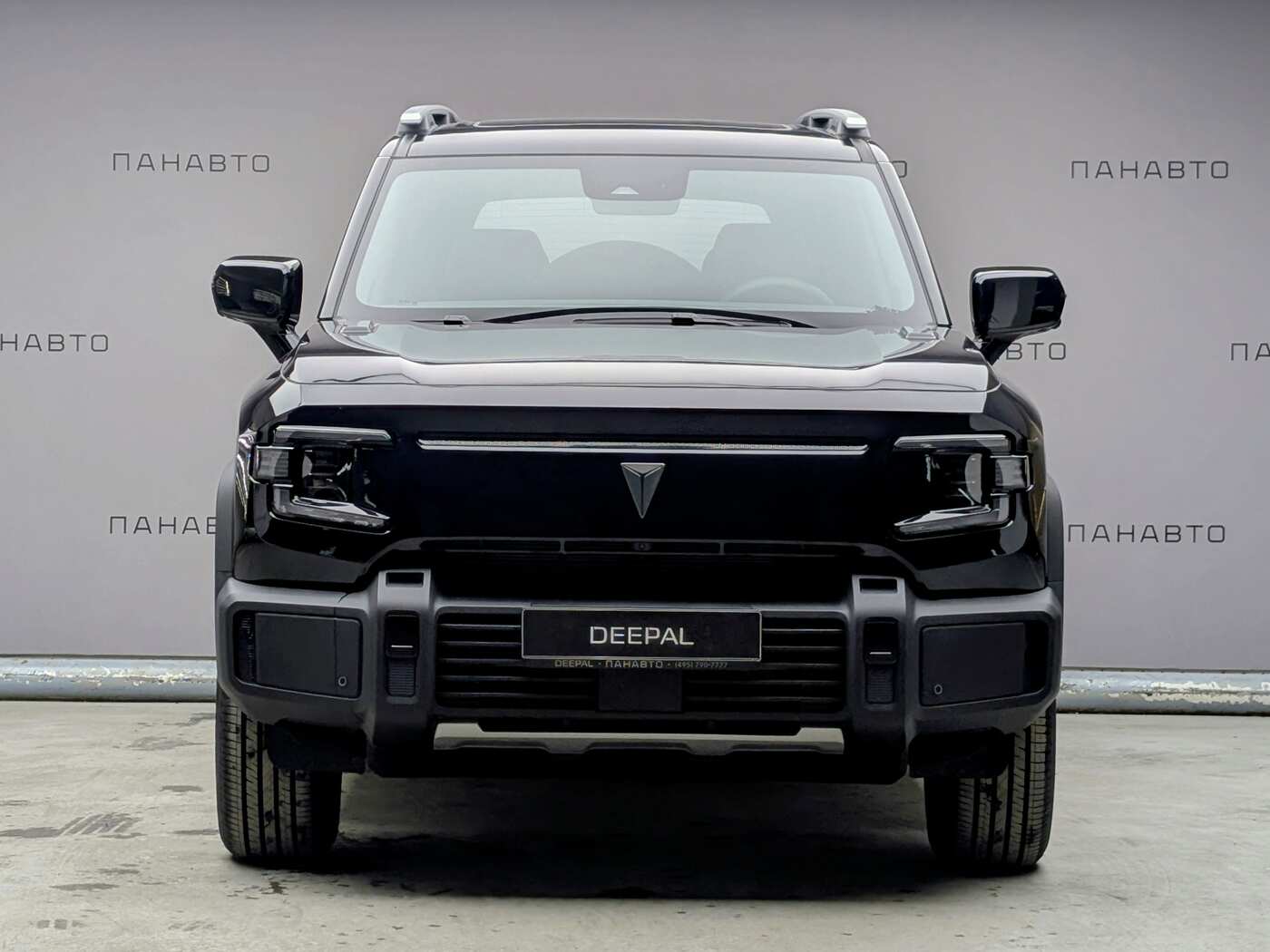 DEEPAL Джи318 / G318 Техно (I)