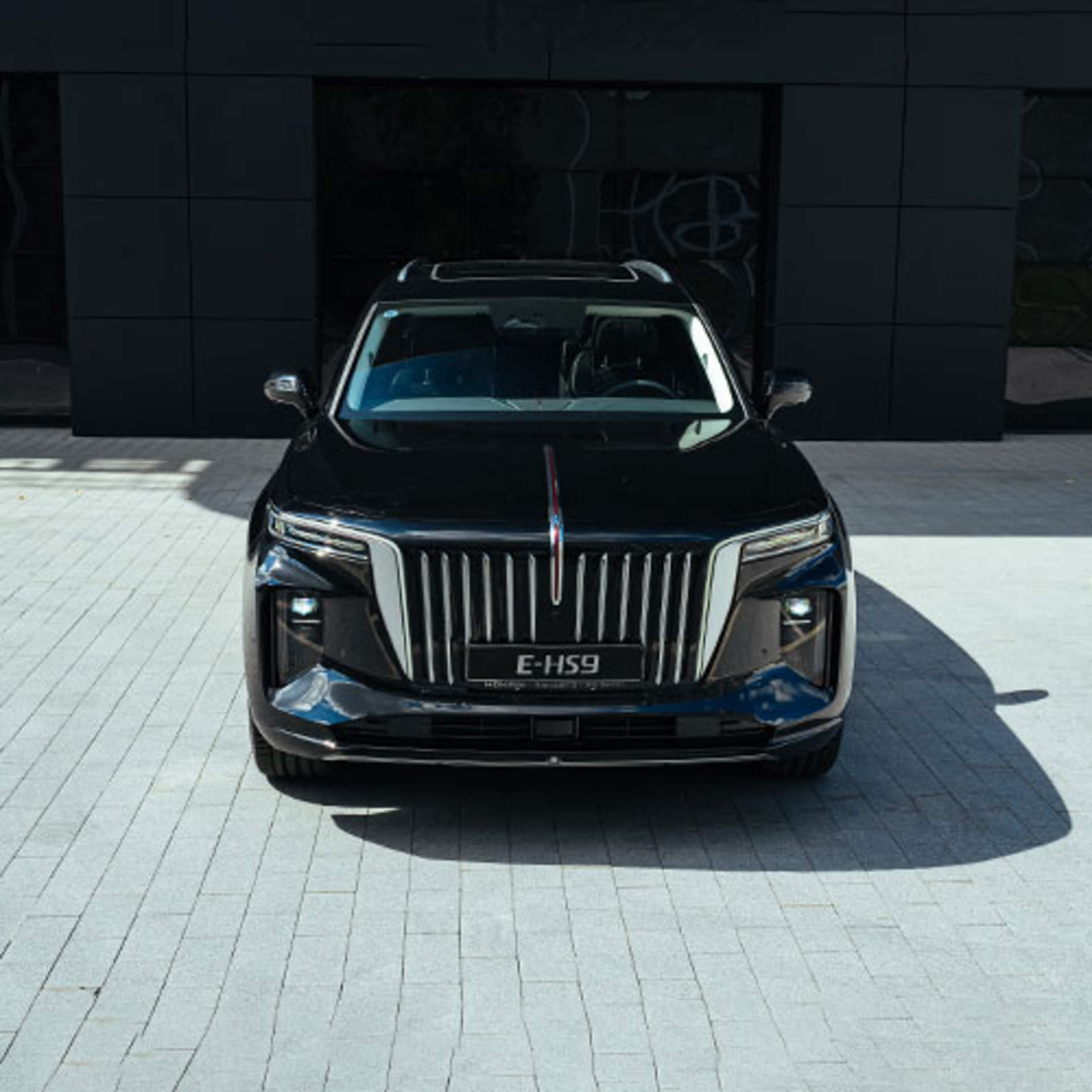 HONGQI E-HS9 6 Seats Deluxe CN (I)