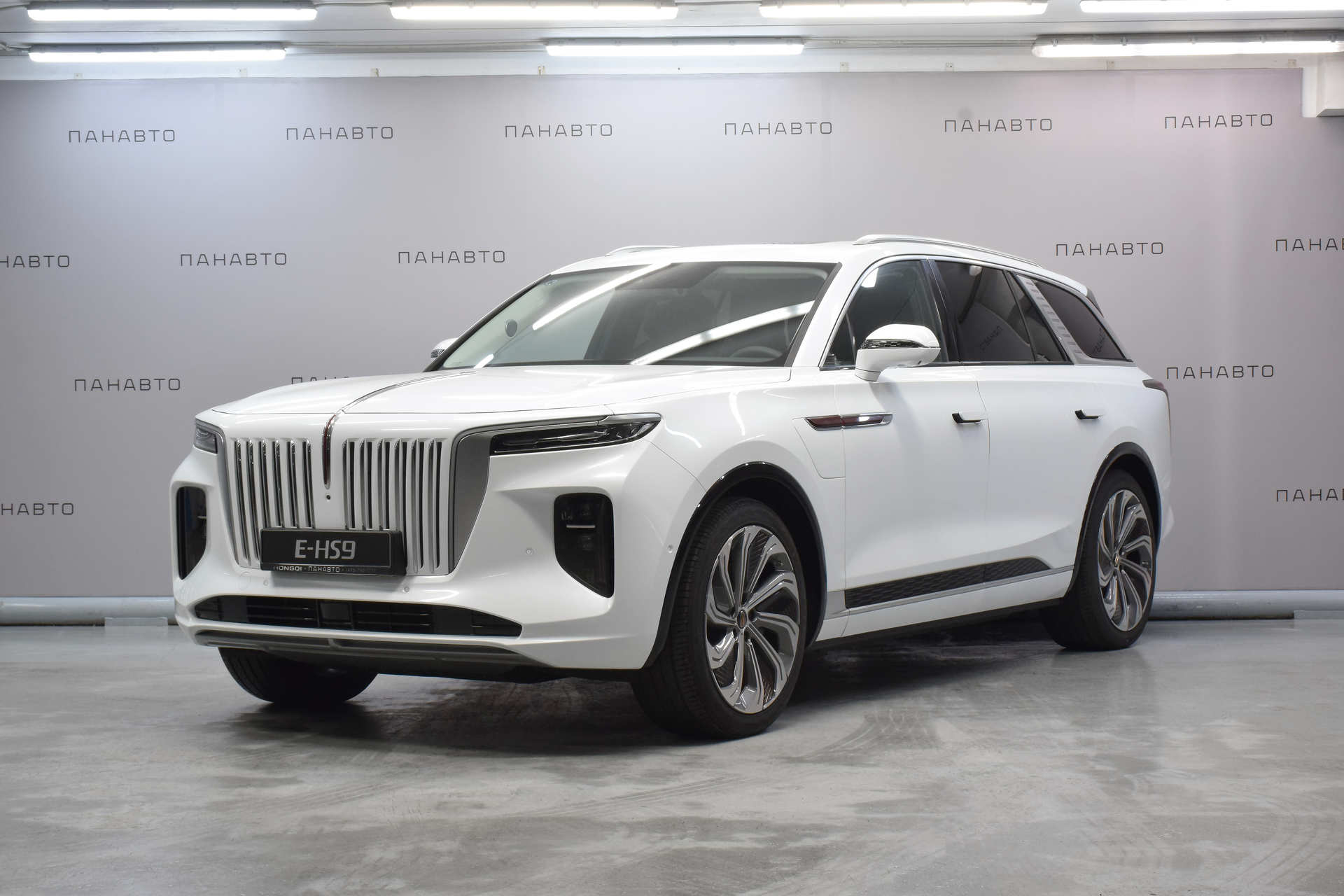 HONGQI E-HS9 6 Seats Executive EU LR (I)