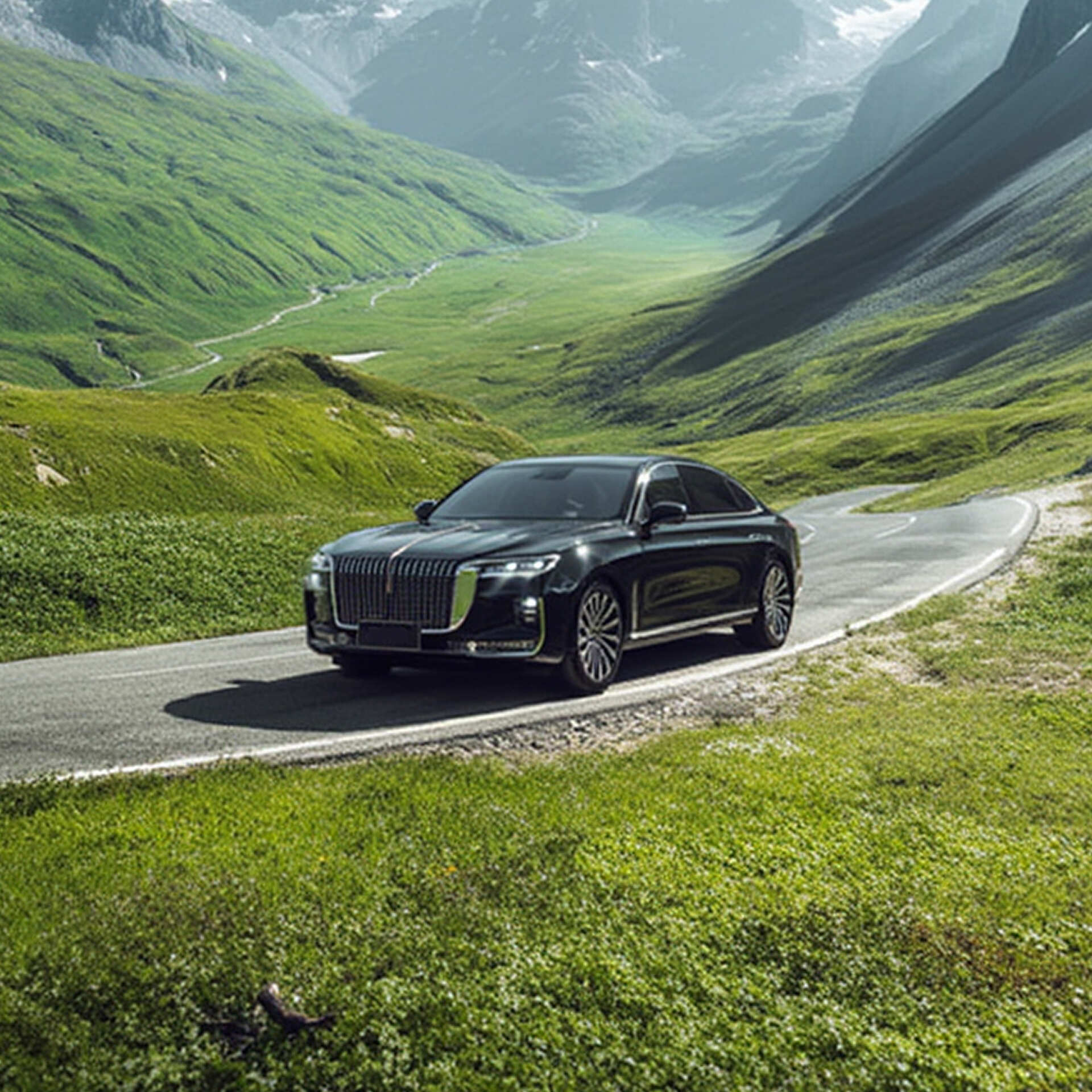 HONGQI H9 Deluxe (I)