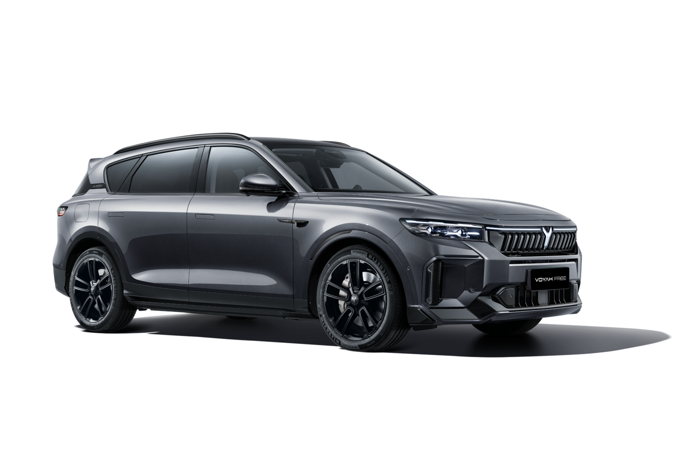 Free EVR Sport Edition