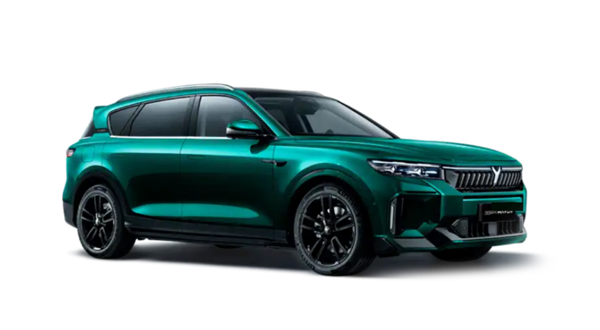 Free EVR Sport Edition