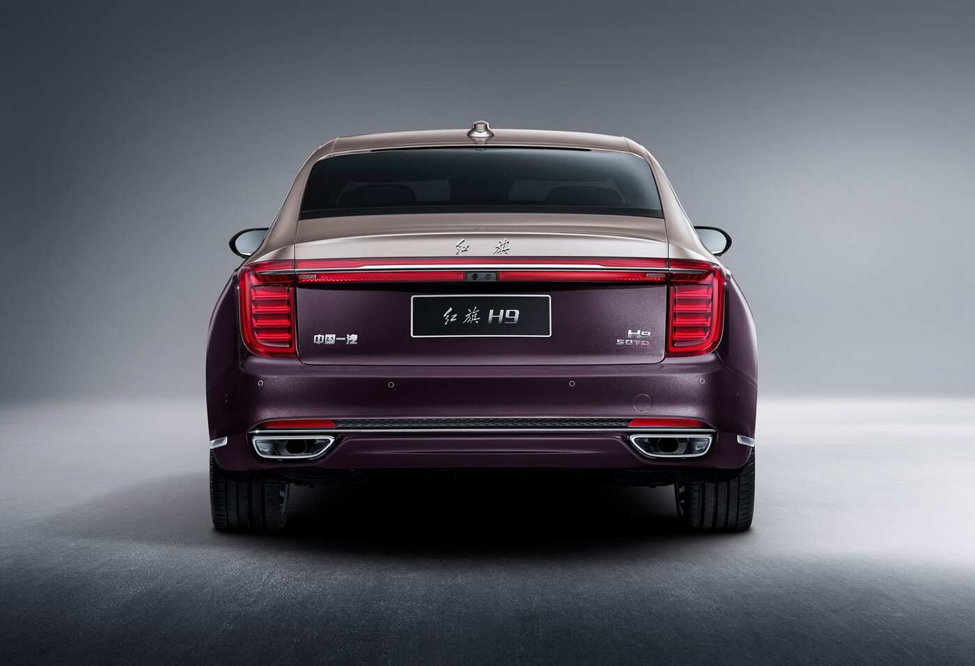 HONGQI  H9 Deluxe (I)